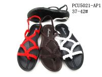PCU5021-AP1