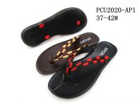 PCU2020-AP1