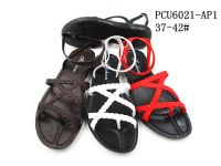 PCU6021-AP1