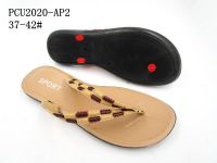 PCU2020-AP2