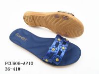 PCU606-AP10