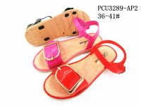 PCU3289-AP2