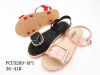 PCU3289-AP1