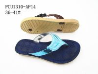 PCU1310-AP14