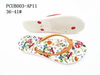 PCUB003-AP11