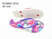 PCUB003-AP10
