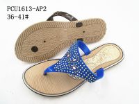 PCU1613-AP2