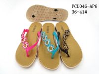 PCU046-AP6