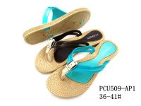 PCU509-AP1