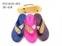 PCU1618-AP2