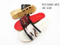 PCU1609-AP2
