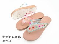 PCU1618-AP10