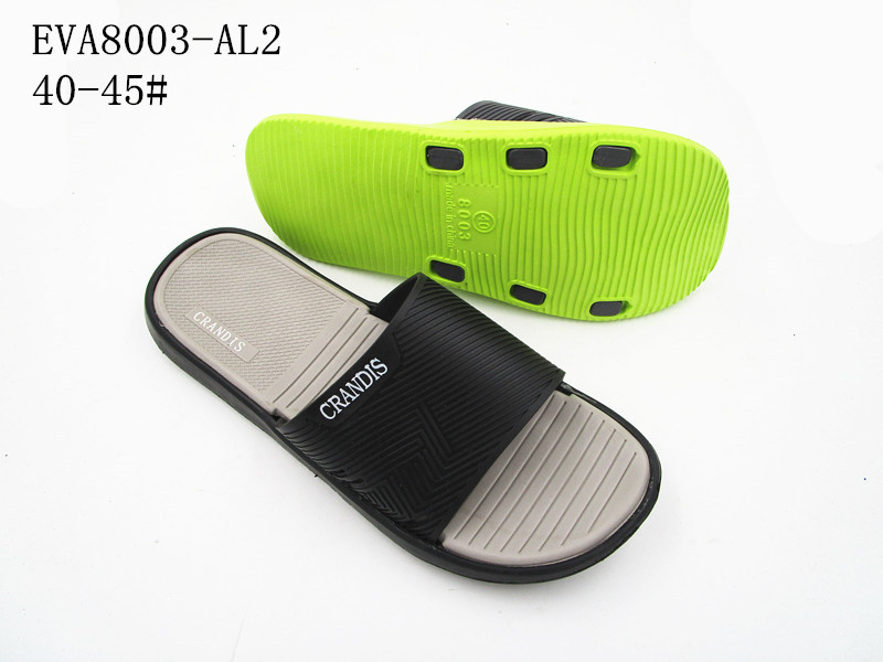 EVA8003-AL2