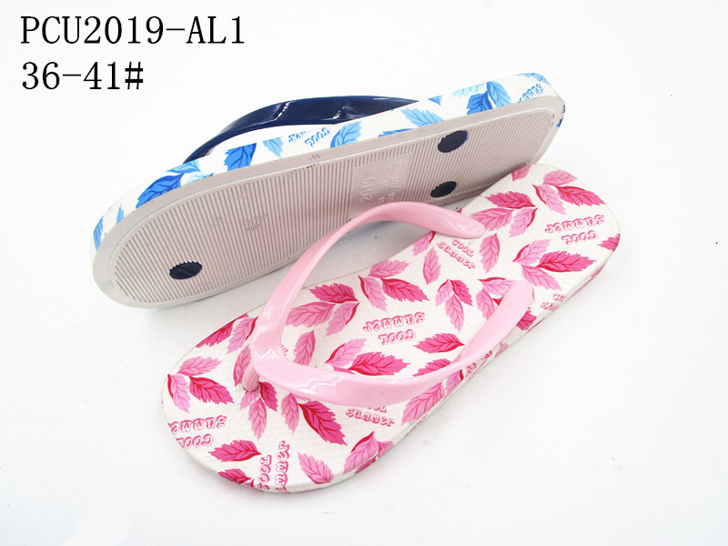 PCU2019-AL1