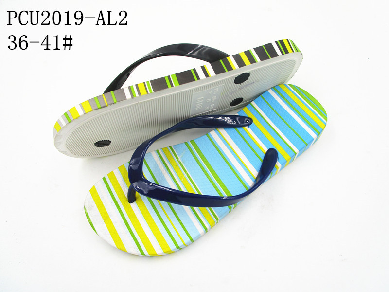 PCU2019-AL2