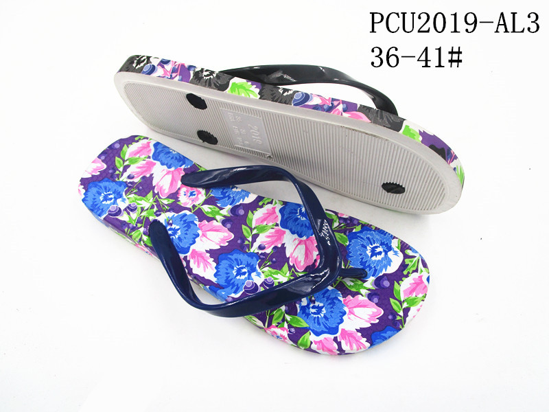 PCU2019-AL3