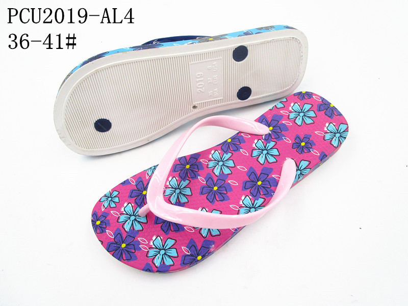 PCU2019-AL4