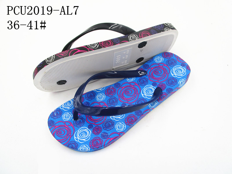 PCU2019-AL7