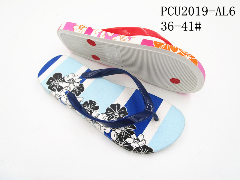 PCU2019-AL6