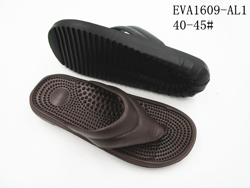 EVA1609-AL1