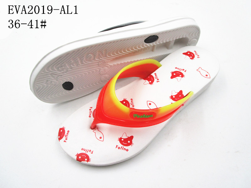 EVA2019-AL1