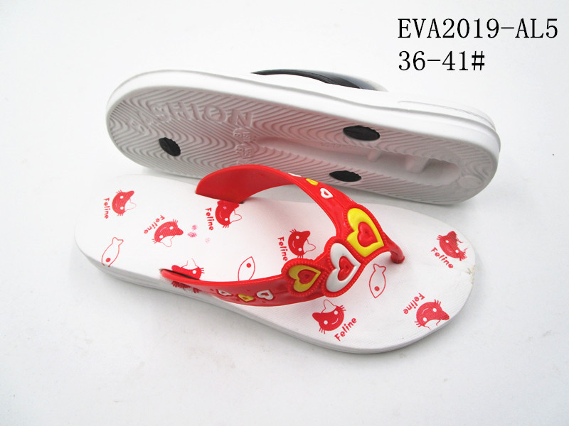 EVA2019-AL5