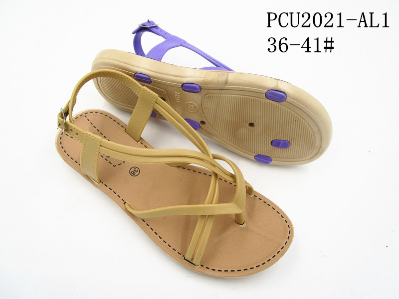 PCU2021-AL1