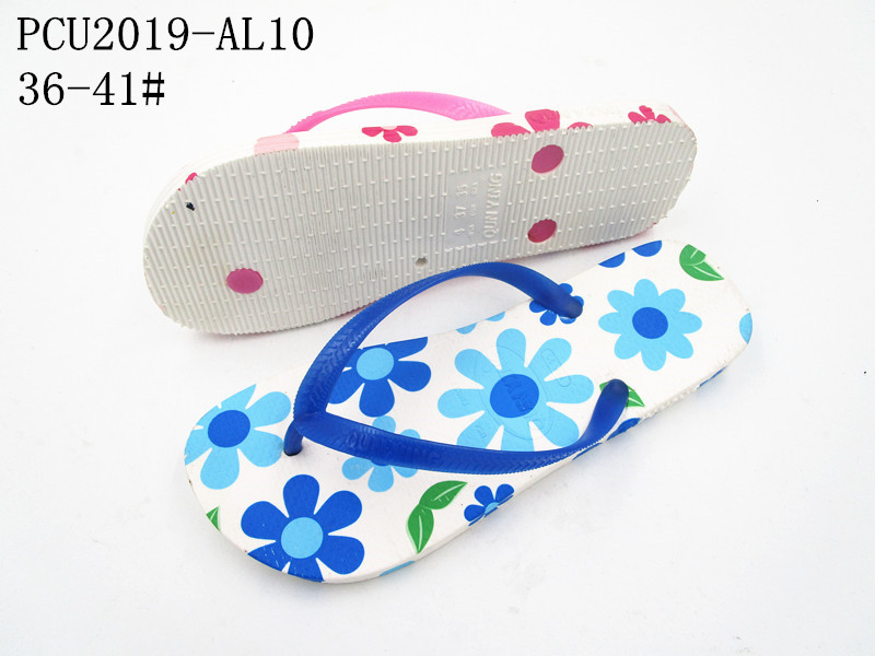 PCU2019-AL10