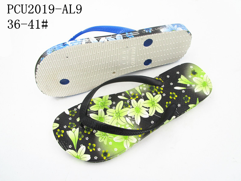 PCU2019-AL9
