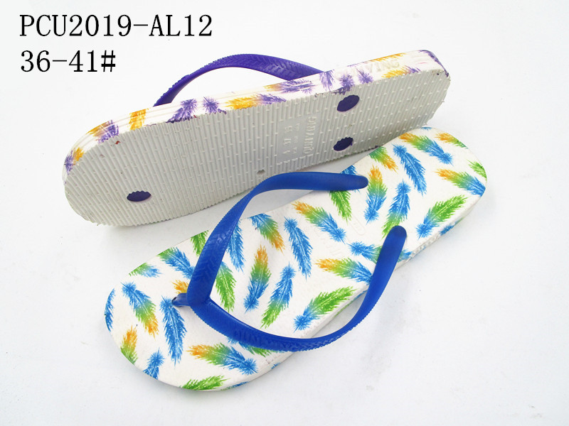 PCU2019-AL12