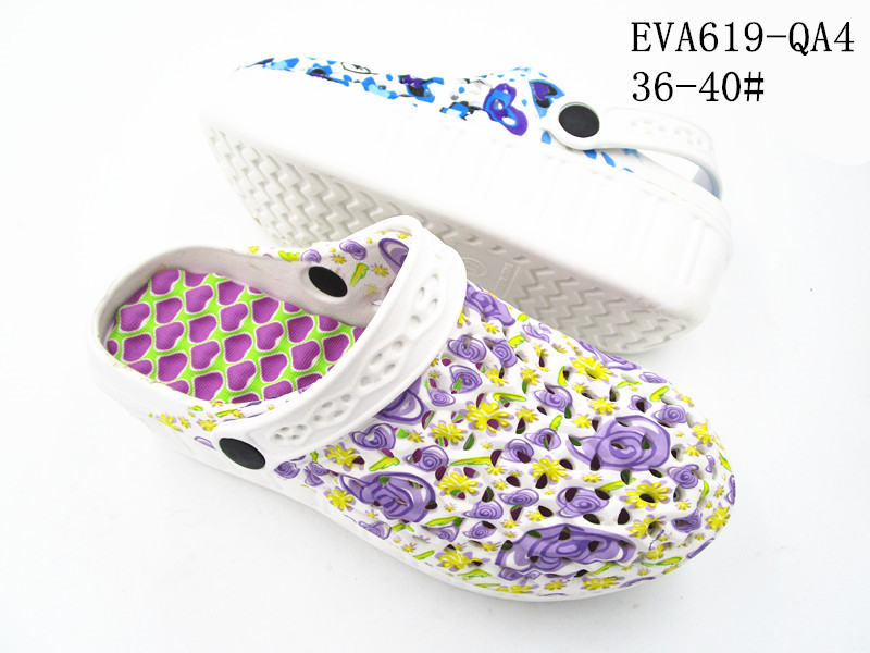 EVA619-QA4