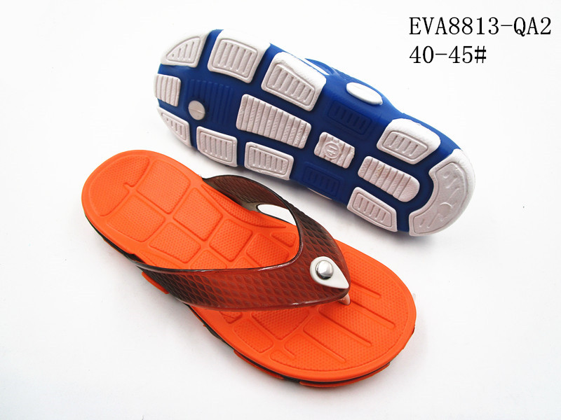 EVA8813-QA2