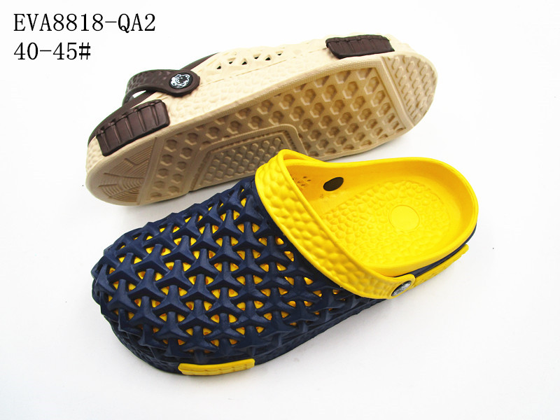 EVA8818-QA2