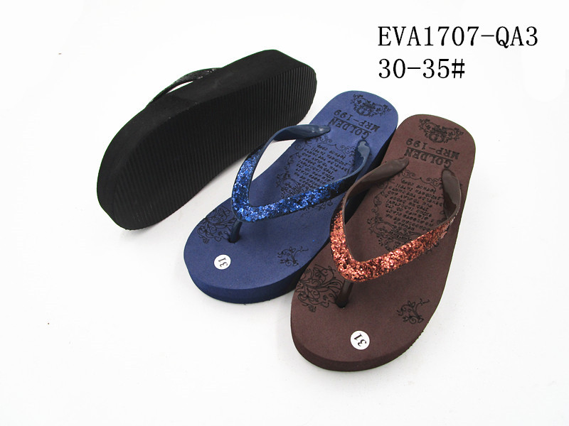 EVA1707-QA3