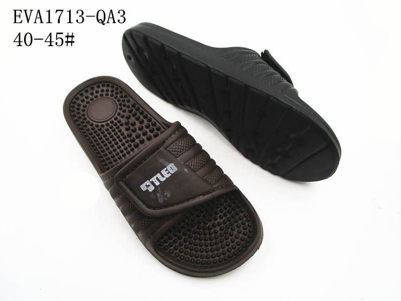 EVA1713-QA3