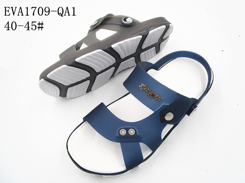 EVA1709-QA1