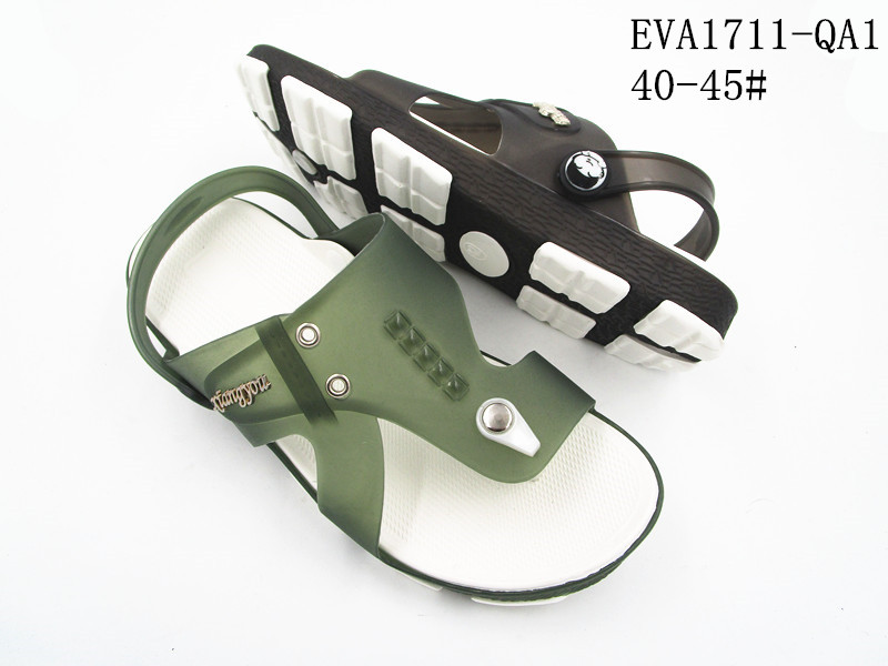 EVA1711-QA1