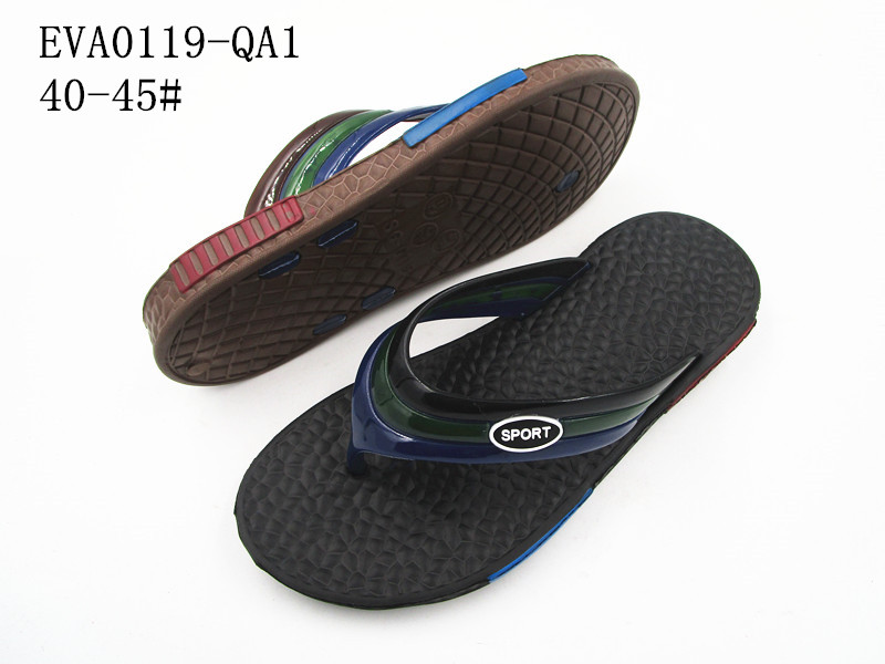 EVA0119-QA1