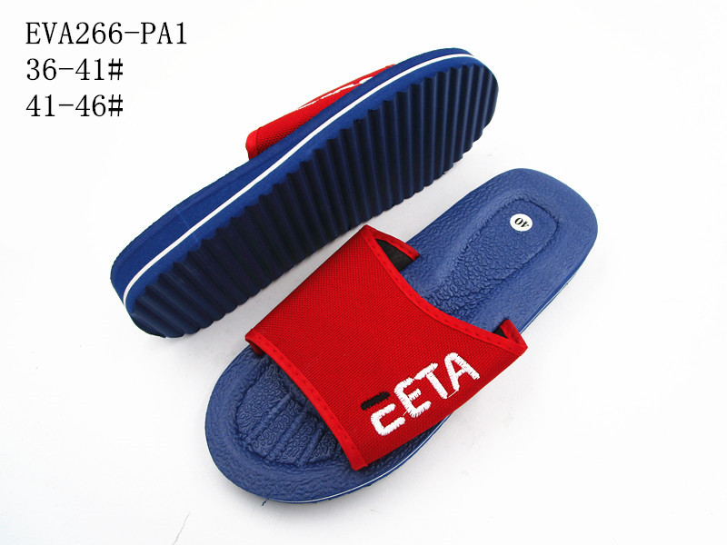 EVA266-PA1