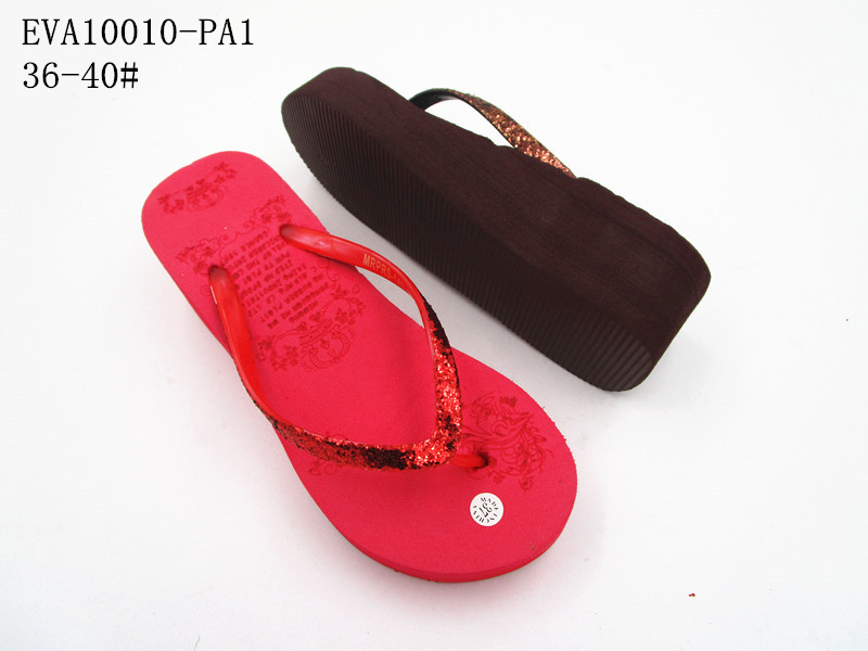 EVA10010-PA1