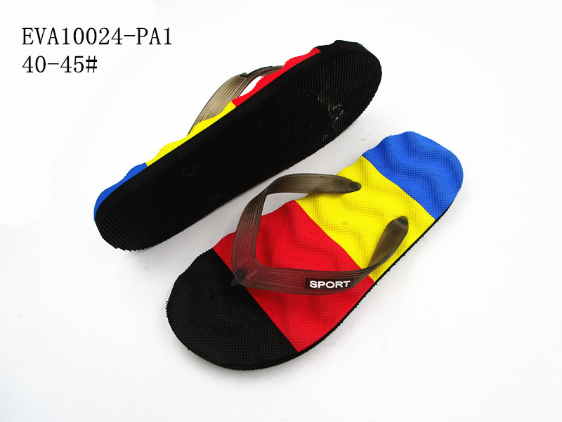 EVA10024-PA1