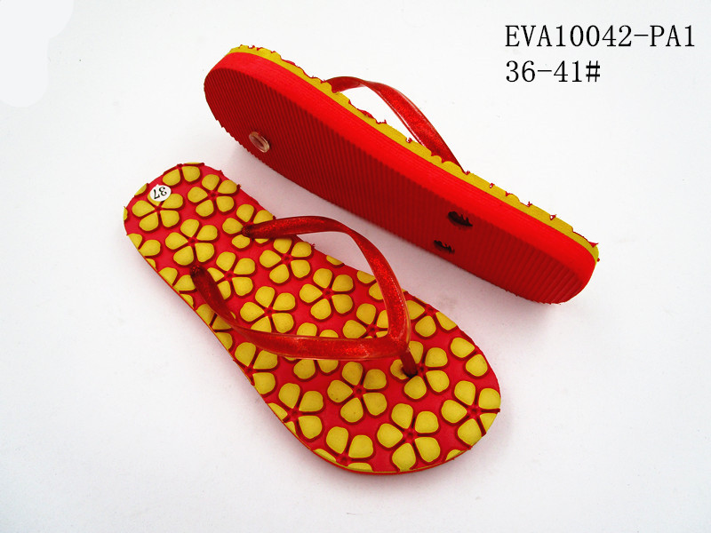 EVA10042-PA1