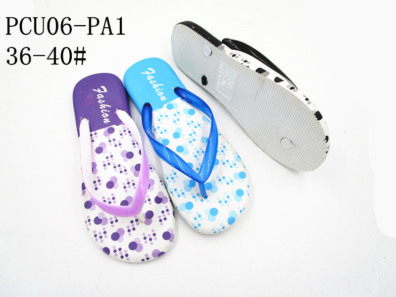 PCU06-PA1