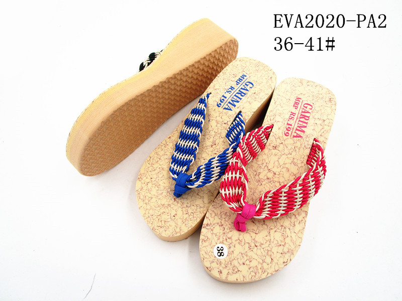 EVA2020-PA2