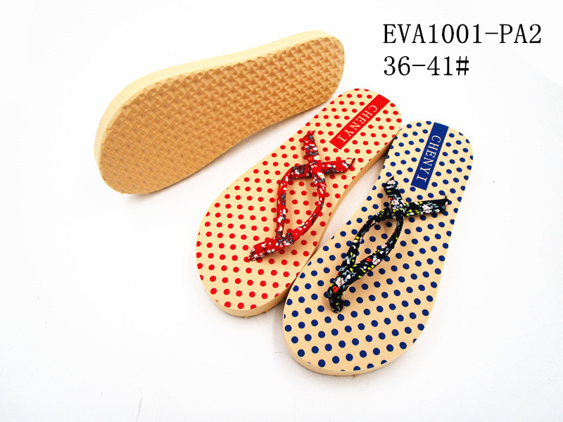 EVA1001-PA2