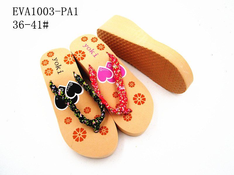 EVA1003-PA1