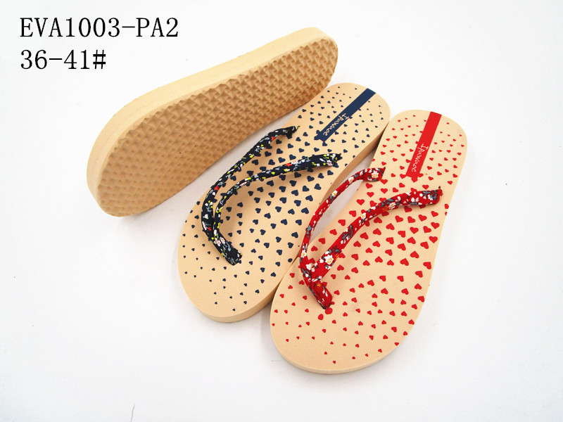 EVA1003-PA2