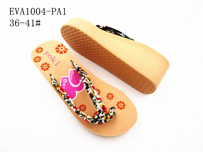 EVA1004-PA1