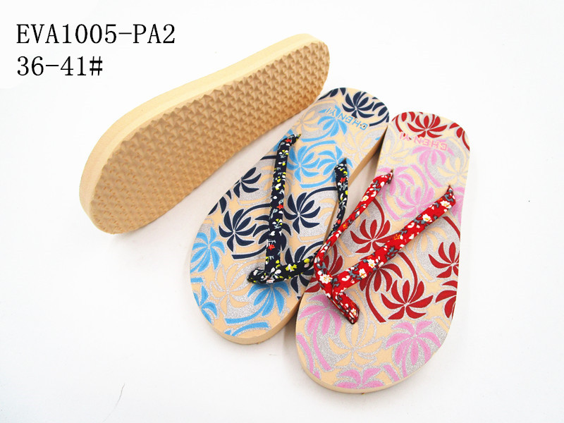 EVA1005-PA2