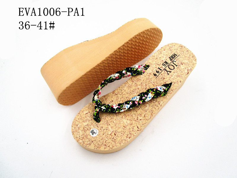 EVA1006-PA1